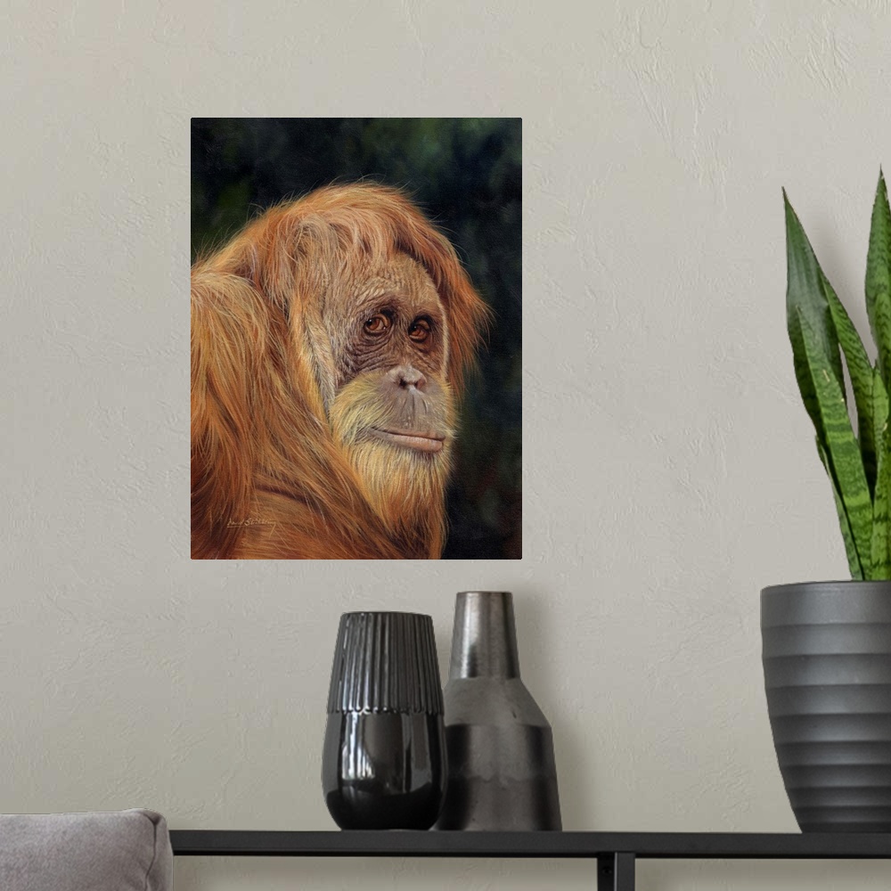 A modern room featuring Orangutan