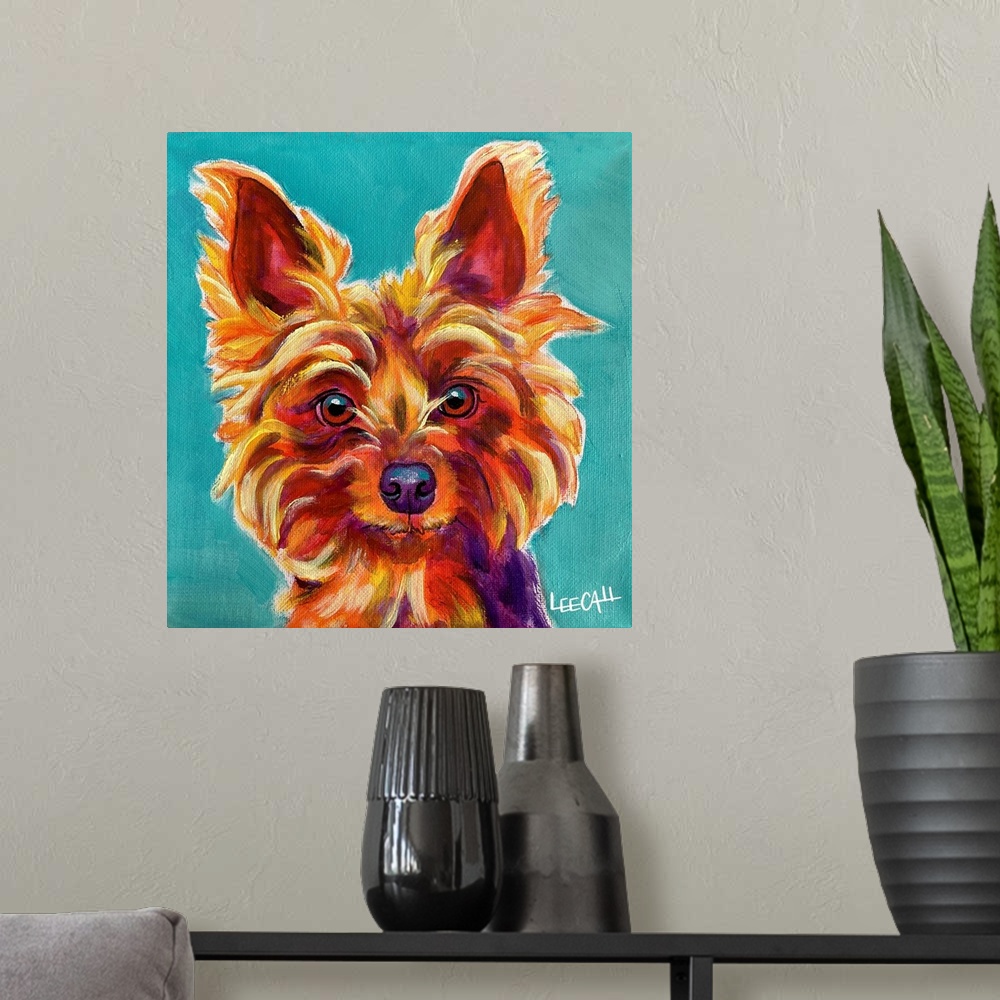 A modern room featuring Yorkie - Snookie