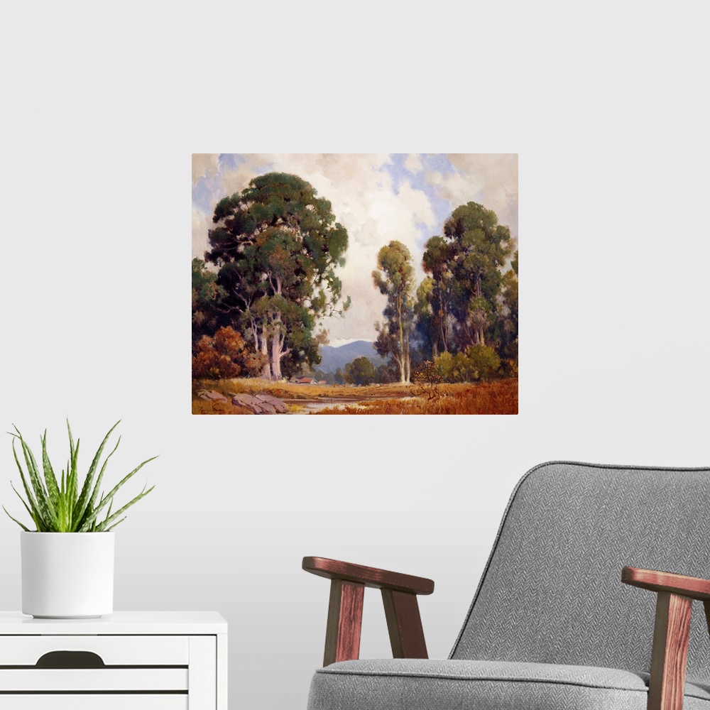 A modern room featuring Eucalyptus