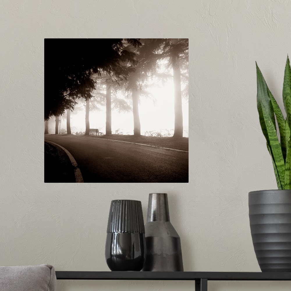 A modern room featuring A monochromatic photograph of a row of trees with a bench next to a road.