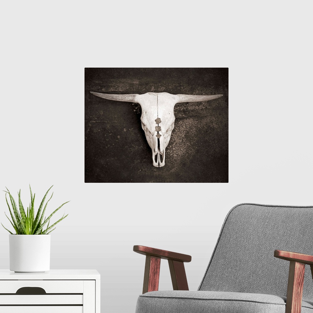 A modern room featuring Sepia Cattle Skull