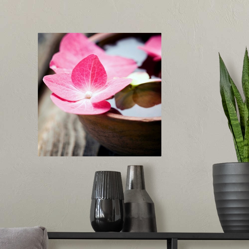 A modern room featuring A square photograph of pink flowers in a bowl of water.