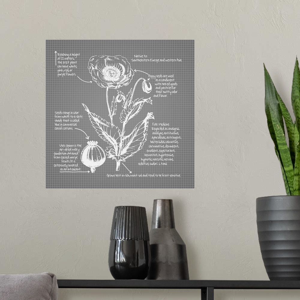 A modern room featuring Digital artwork of a blueprint in dusky gray and white featuring a poppy with brief information a...