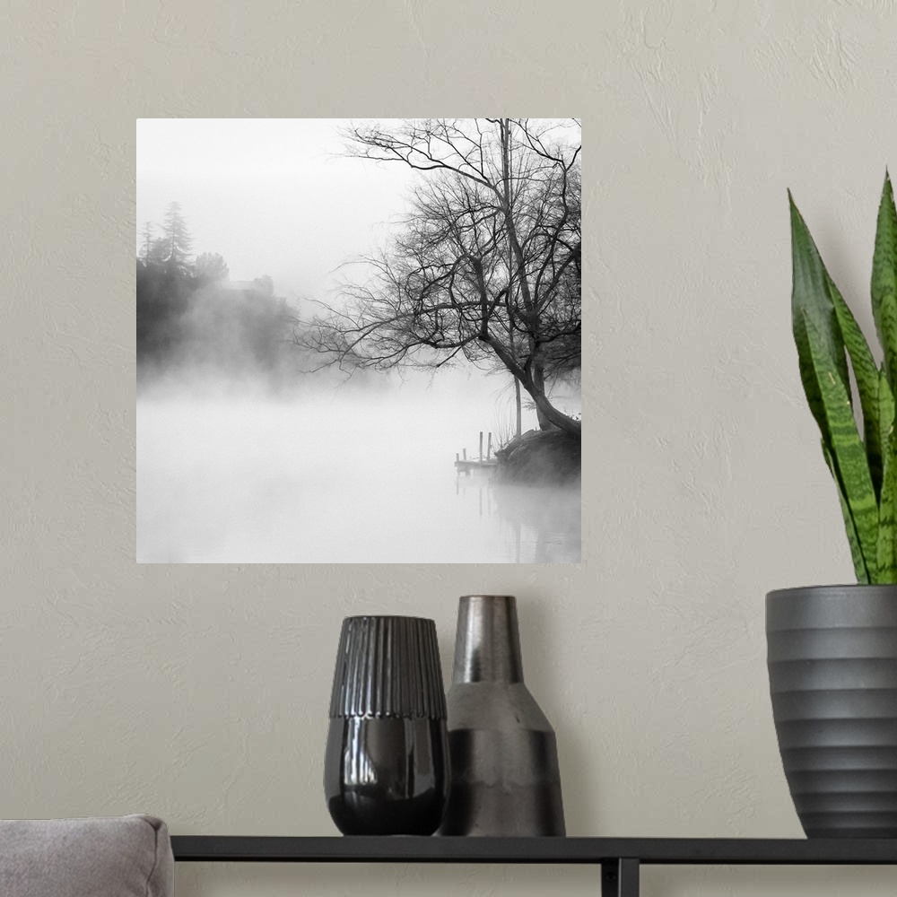 A modern room featuring Black and white photography of a misty lake lined with trees.