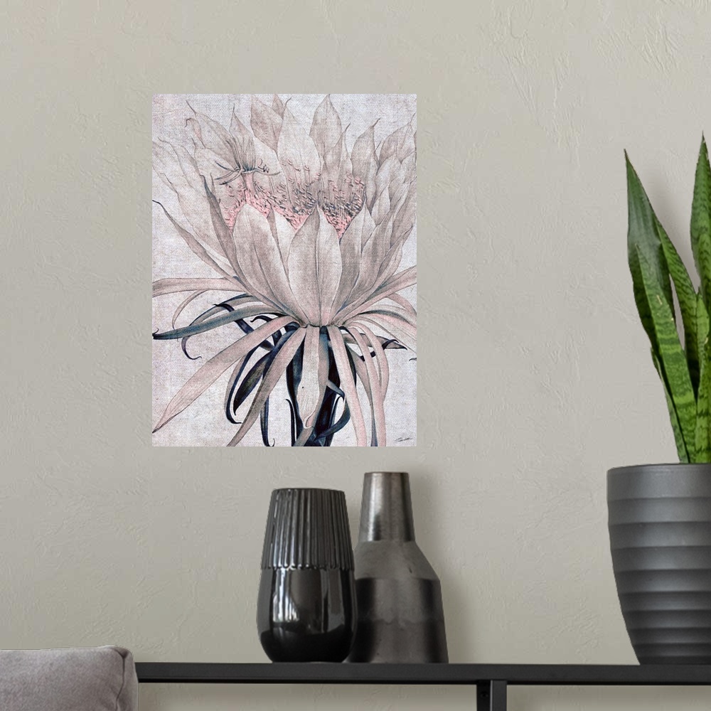 A modern room featuring A cactus flower blooms on blushed toned linen.
