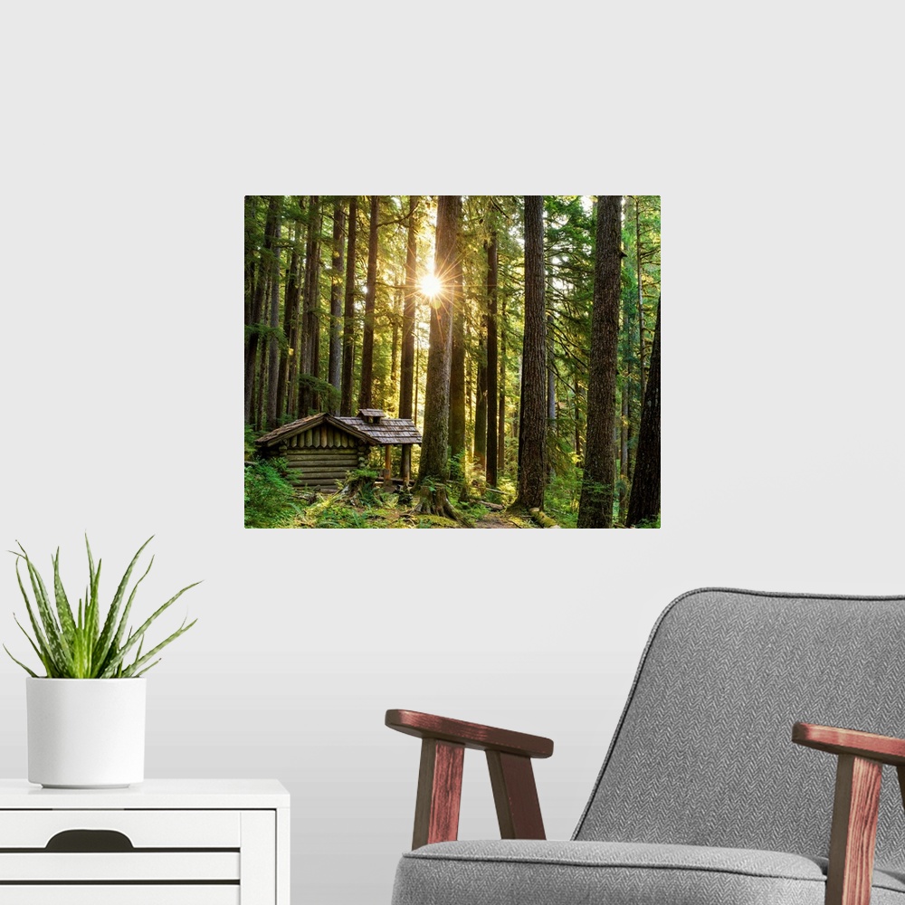 A modern room featuring Forest Cabin, Sol Duc, Olympic National Park, Washington, Usa
