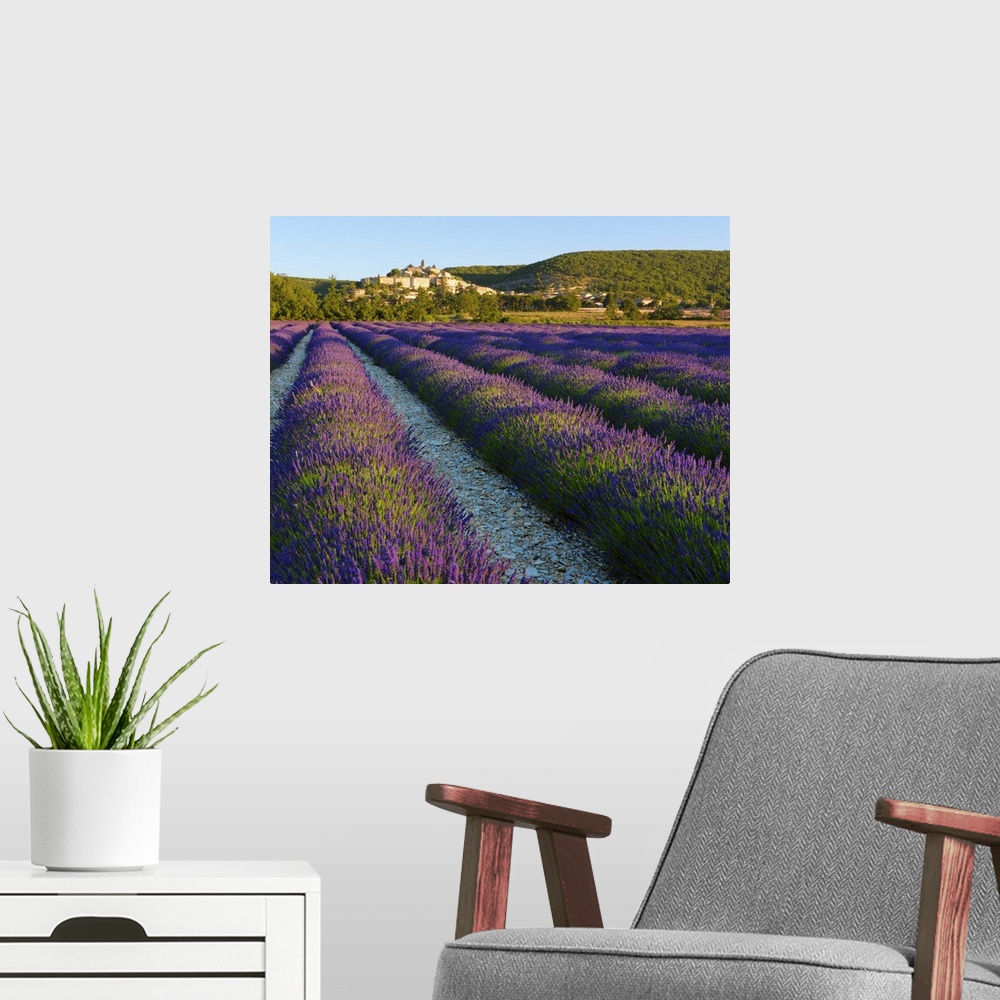 A modern room featuring France, Provence, Banon, lavender to foreground