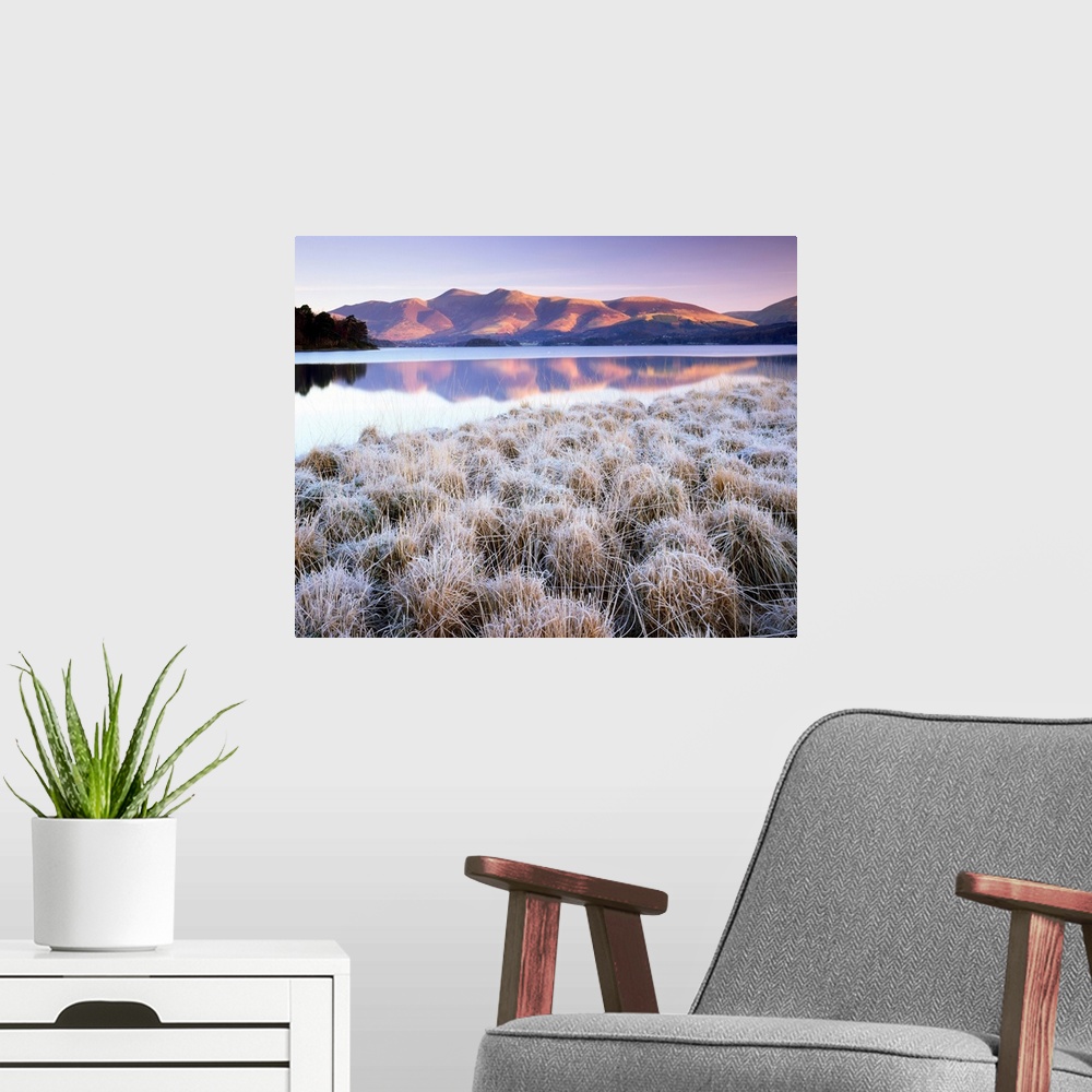 A modern room featuring Frosted Grasses And Skiddaw Reflecting In Derwent Water, Lake District National Park, Cumbria, En...