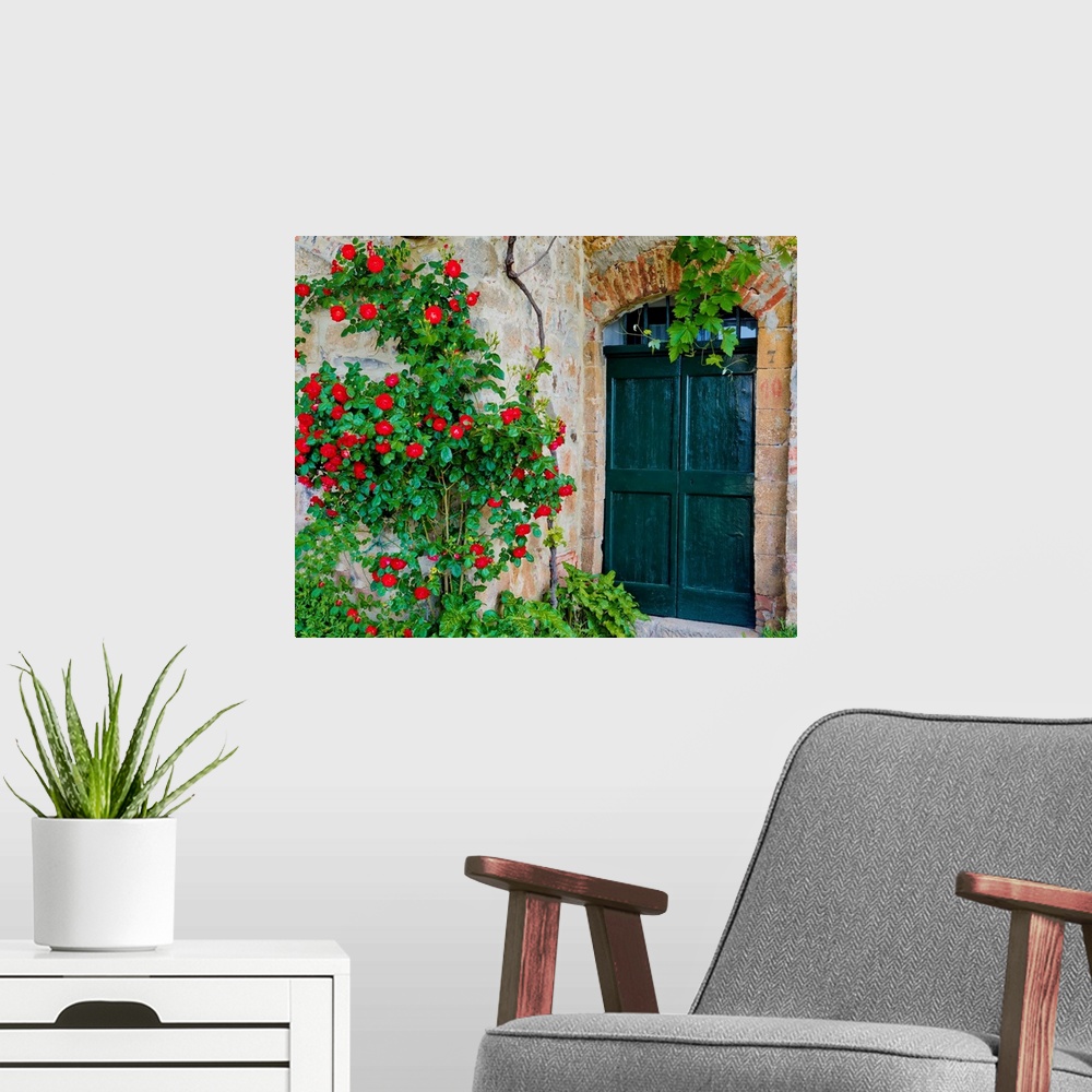 A modern room featuring Green Door And Roses, Monticchiello, Tuscany, Italy