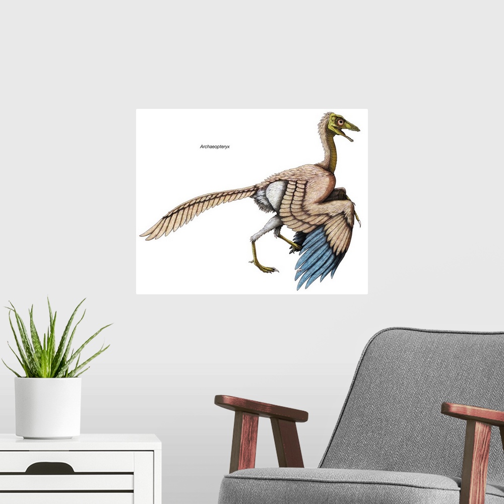 A modern room featuring An illustration from Encyclopaedia Britannica of Archaeopteryx, the first bird, now extinct.
