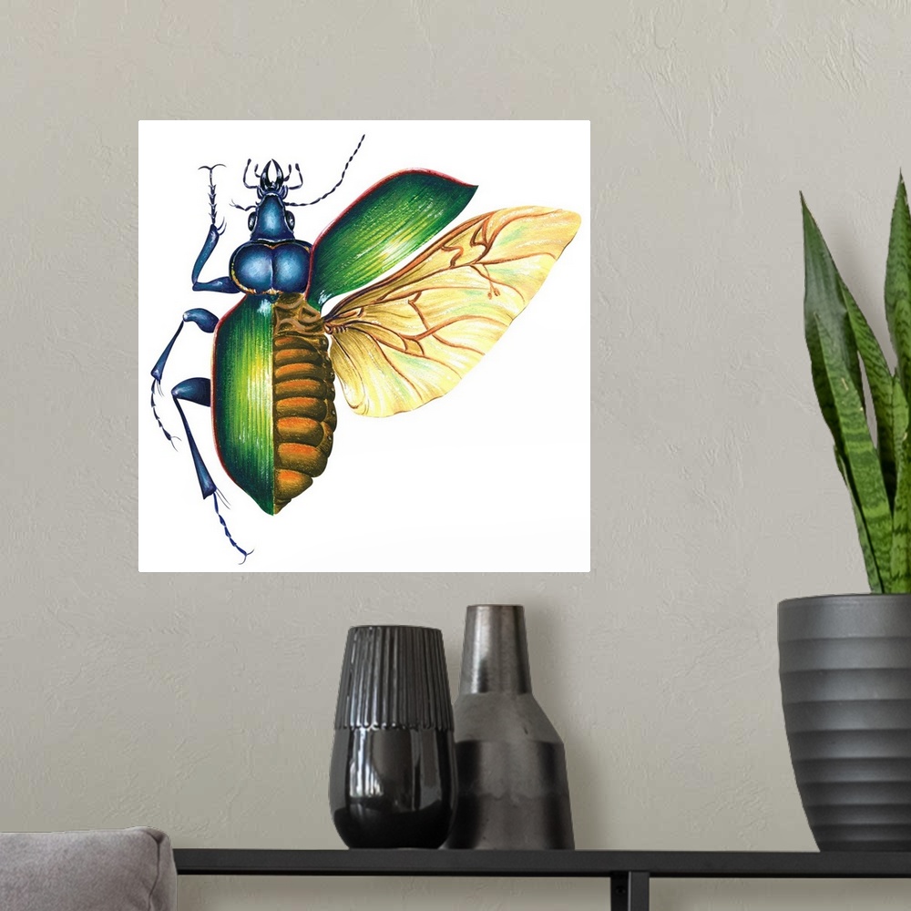 A modern room featuring Ground Beetle (Carabidae)