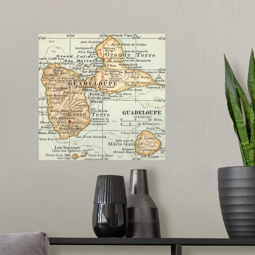 A modern room featuring Guadaloupe - Vintage Map