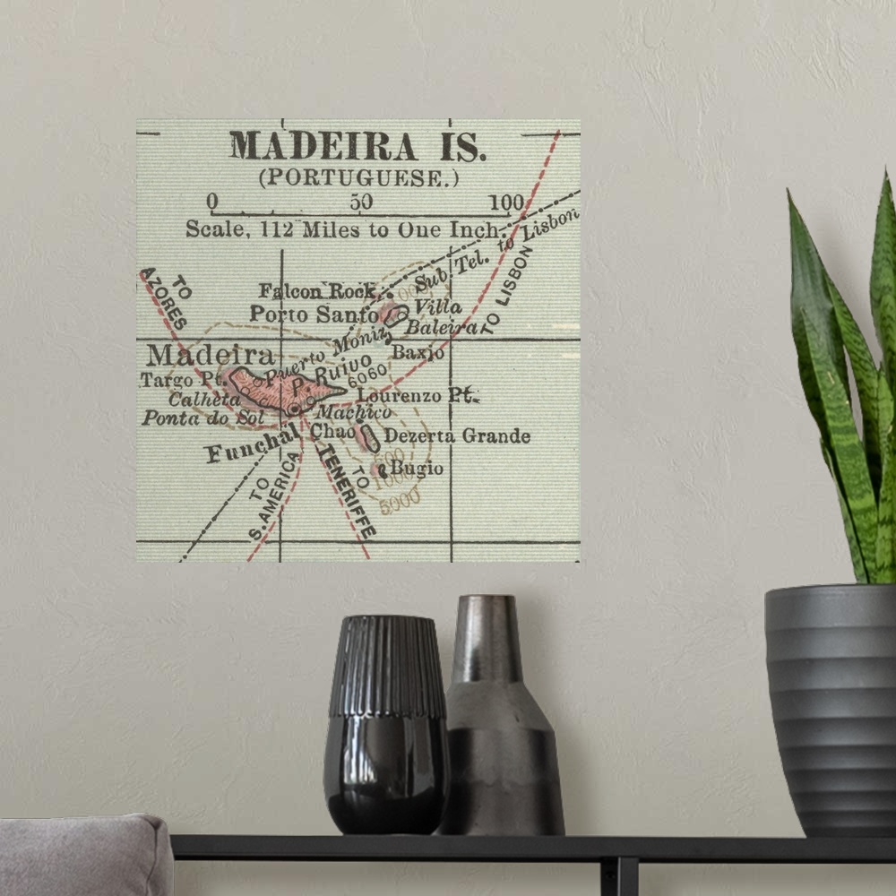 A modern room featuring Madeira Islands - Vintage Map