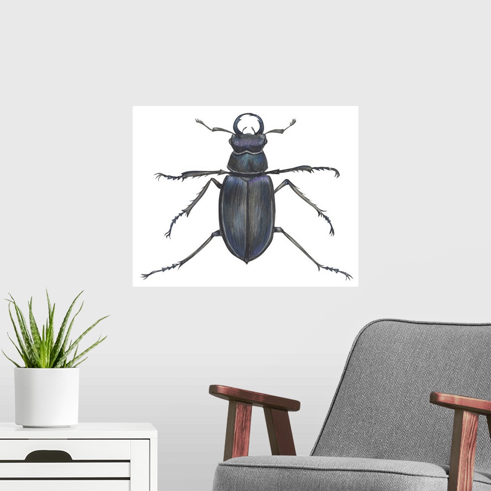 A modern room featuring Stag Beetle (Lucanus Capreolus)