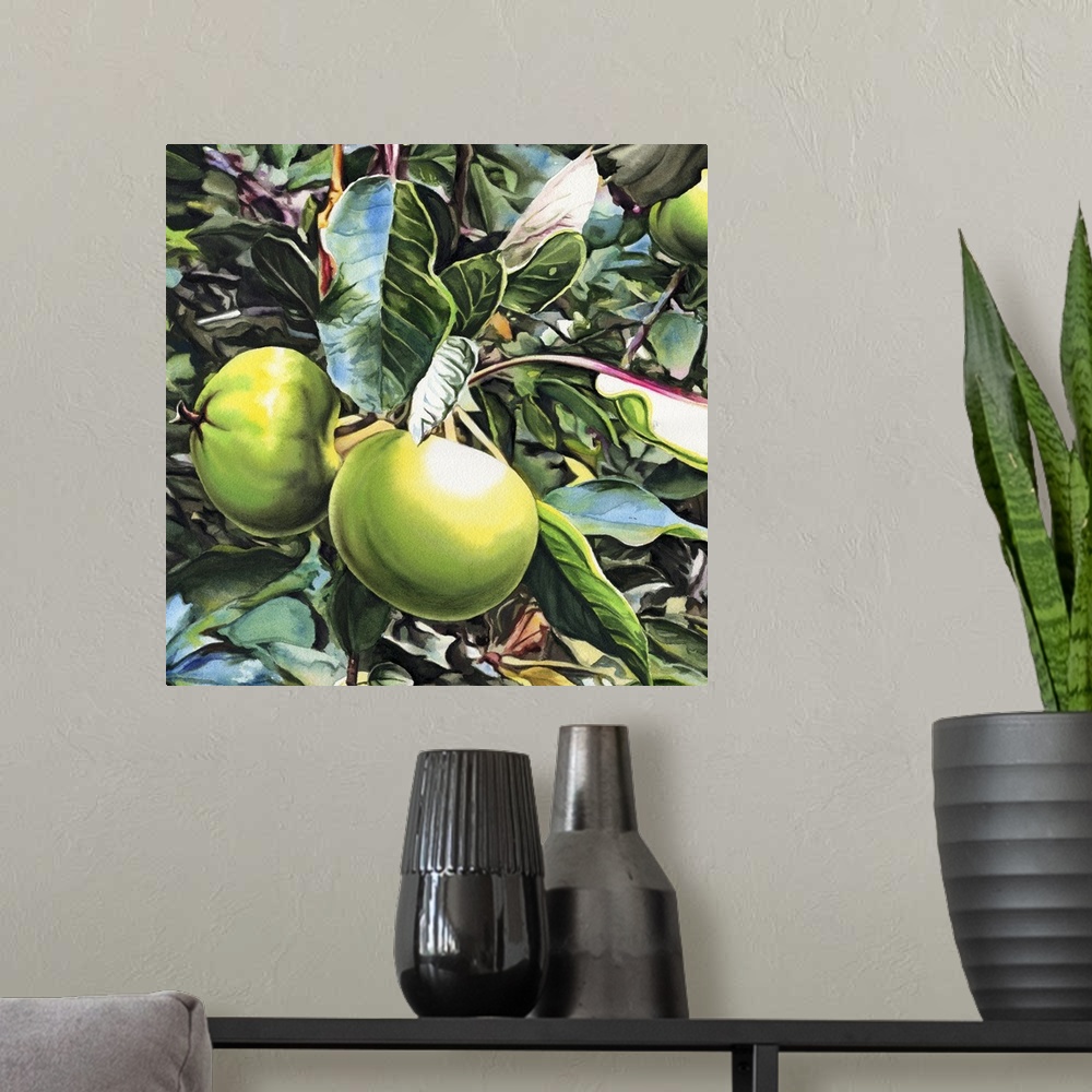 A modern room featuring Square painting of small green apples growing on a tree in watercolor.