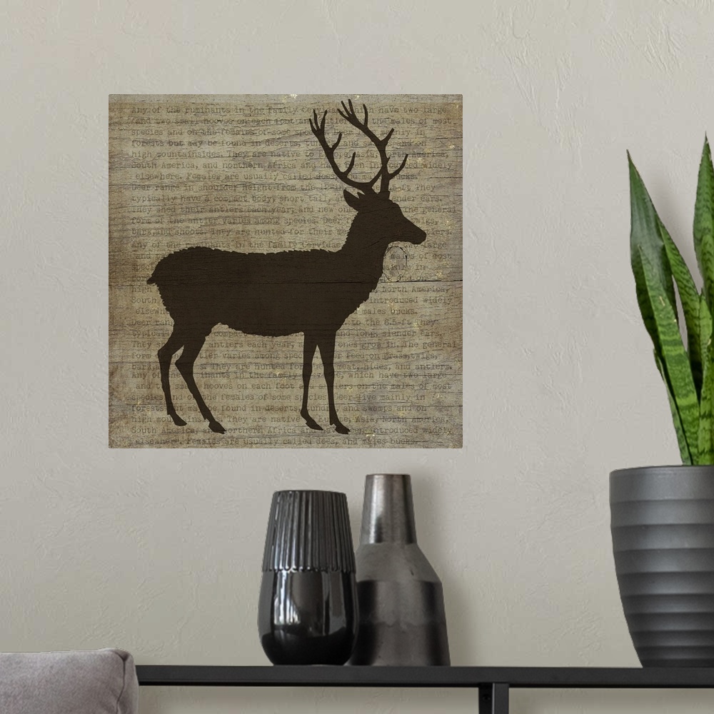 A modern room featuring Deer