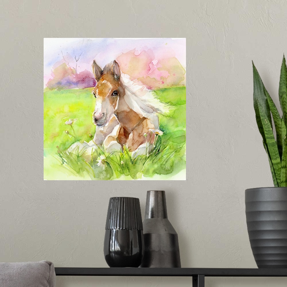 A modern room featuring Foal