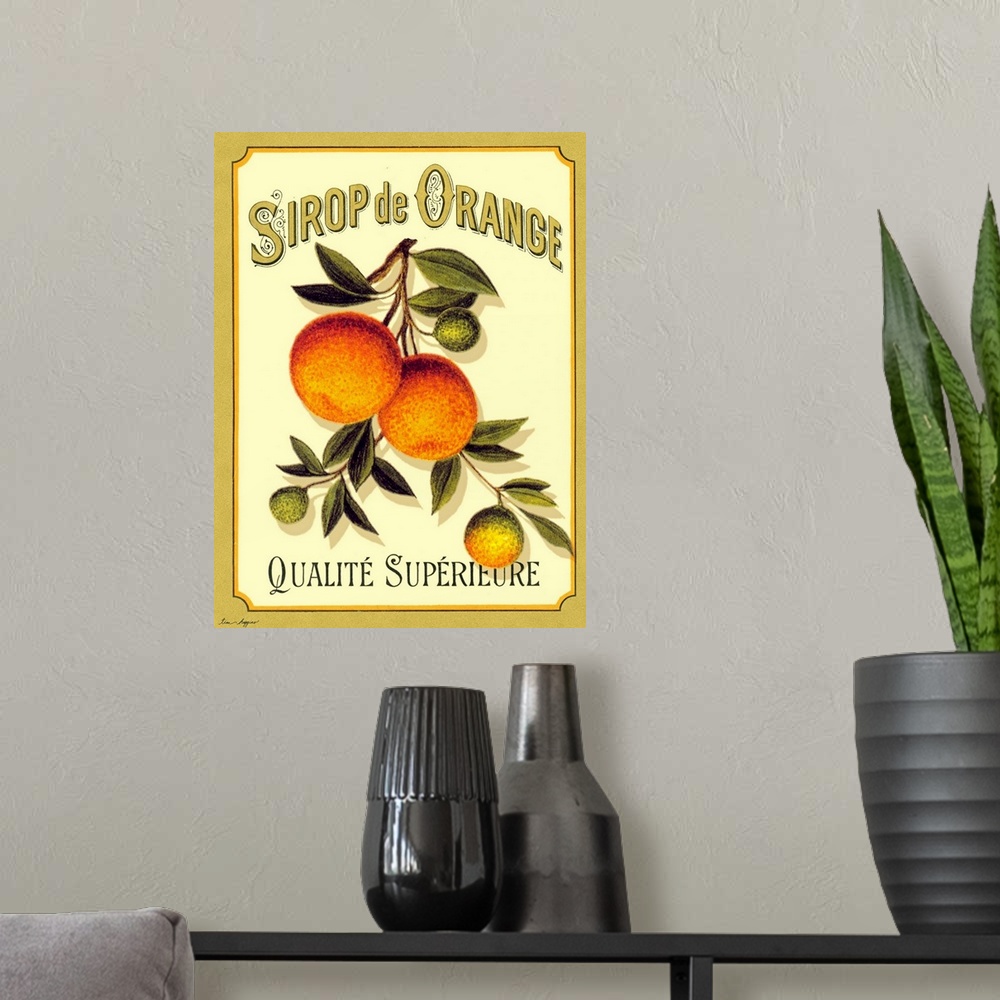 A modern room featuring Docor perfect for the kitchen of drawn oranges still on the tree branch with French text written ...