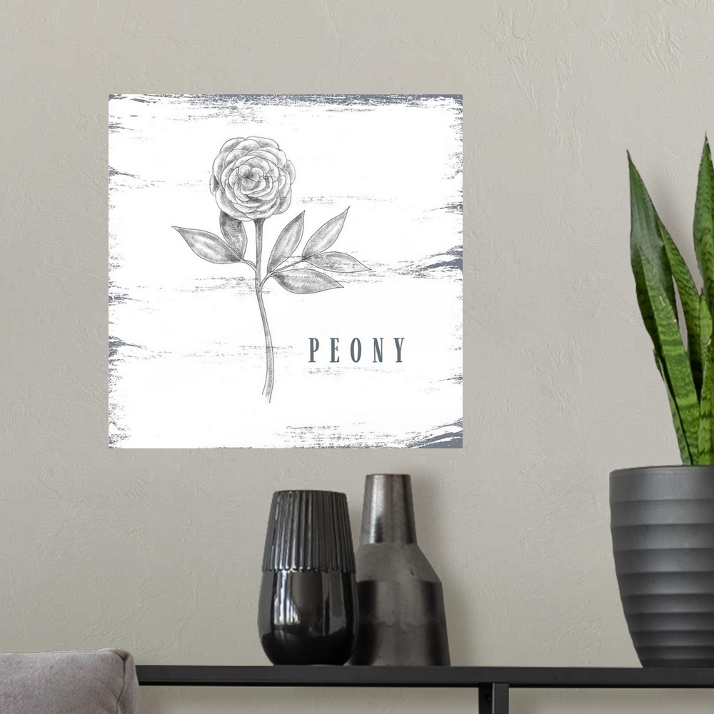 A modern room featuring Peony Sketch