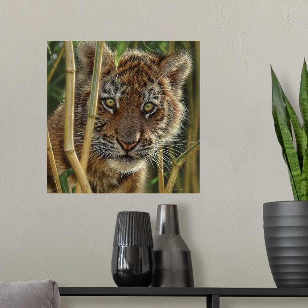 A modern room featuring Tiger Cub - Discovery
