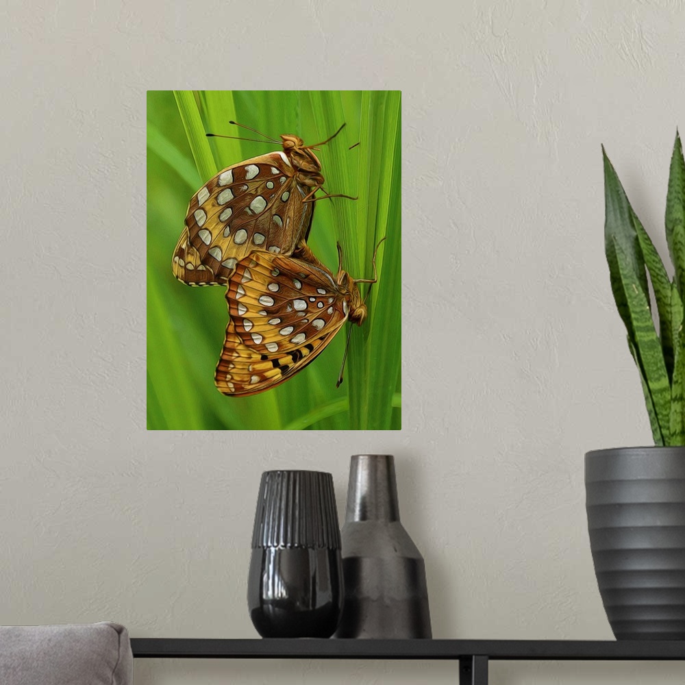 A modern room featuring Close-up photograph of two butterfly's clinging to vibrant green grass.