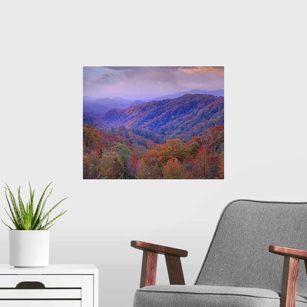 A modern room featuring Photo on canvas of mountains covered in fall foliage.