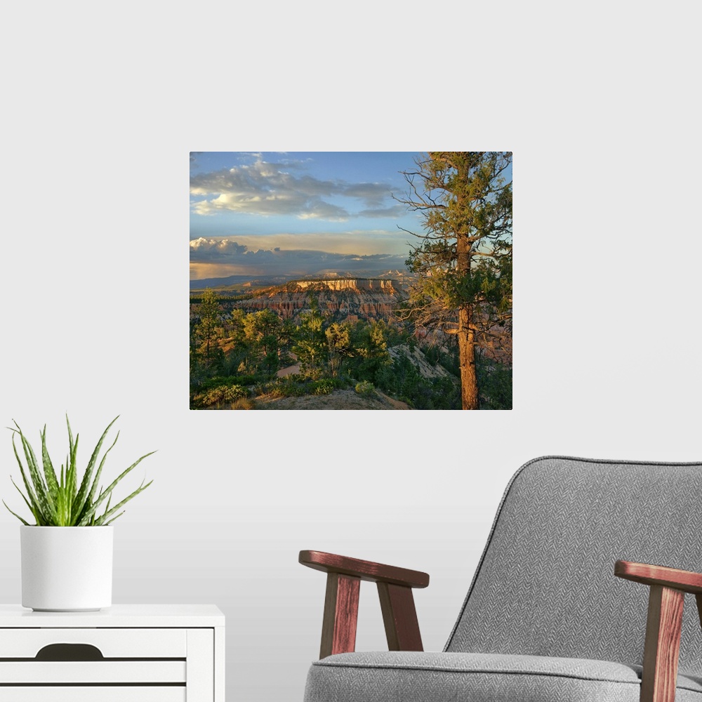 A modern room featuring Butte, Bryce Canyon National Park, Utah