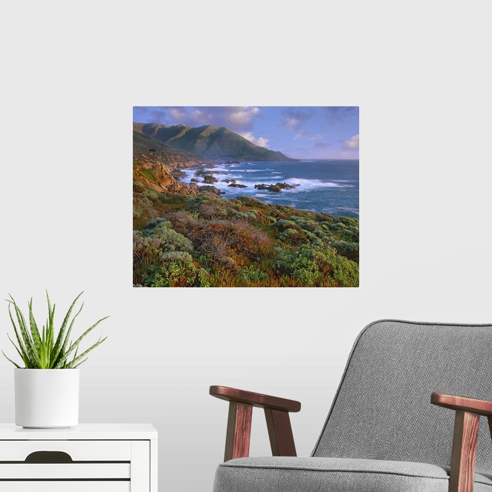 A modern room featuring Cliffs and the Pacific Ocean, Garrapata State Beach, Big Sur, California
