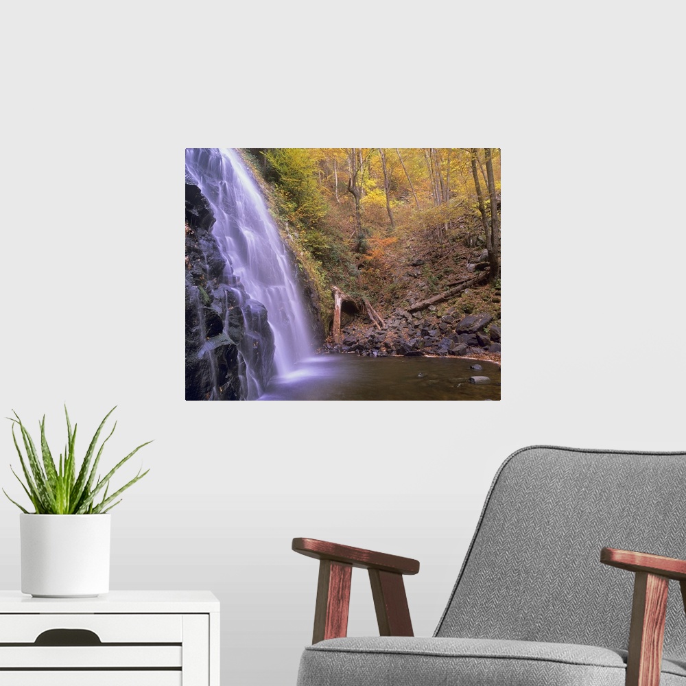 A modern room featuring Rocky waterfall and creek in a grove of autumn-colored trees in the Southeastern United States.