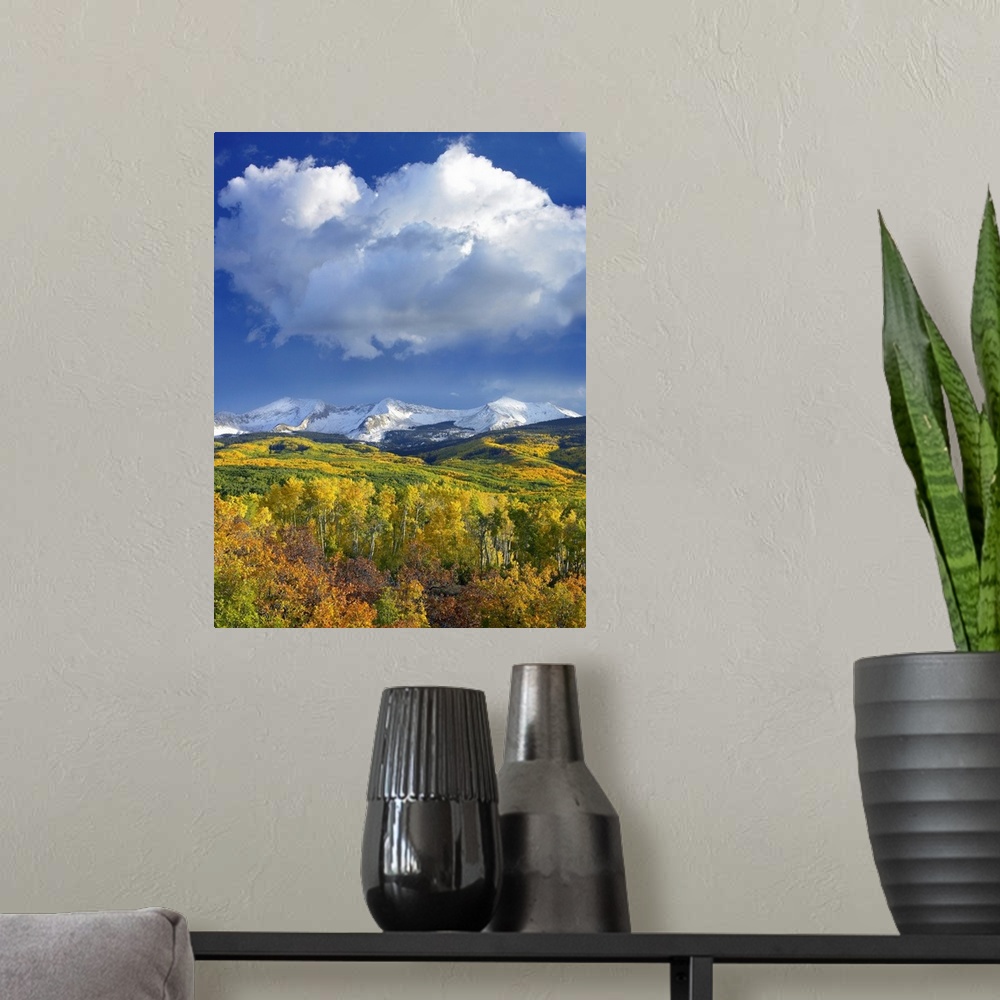 A modern room featuring Tall canvas print of beautiful fall foliage at the base of snowy mountains under a blue sky with ...