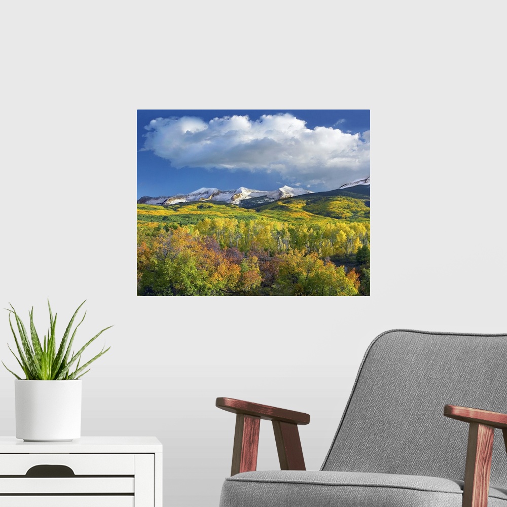 A modern room featuring Photograph of snow covered mountain range flanked by fall colored Aspen forests under cumulus clo...