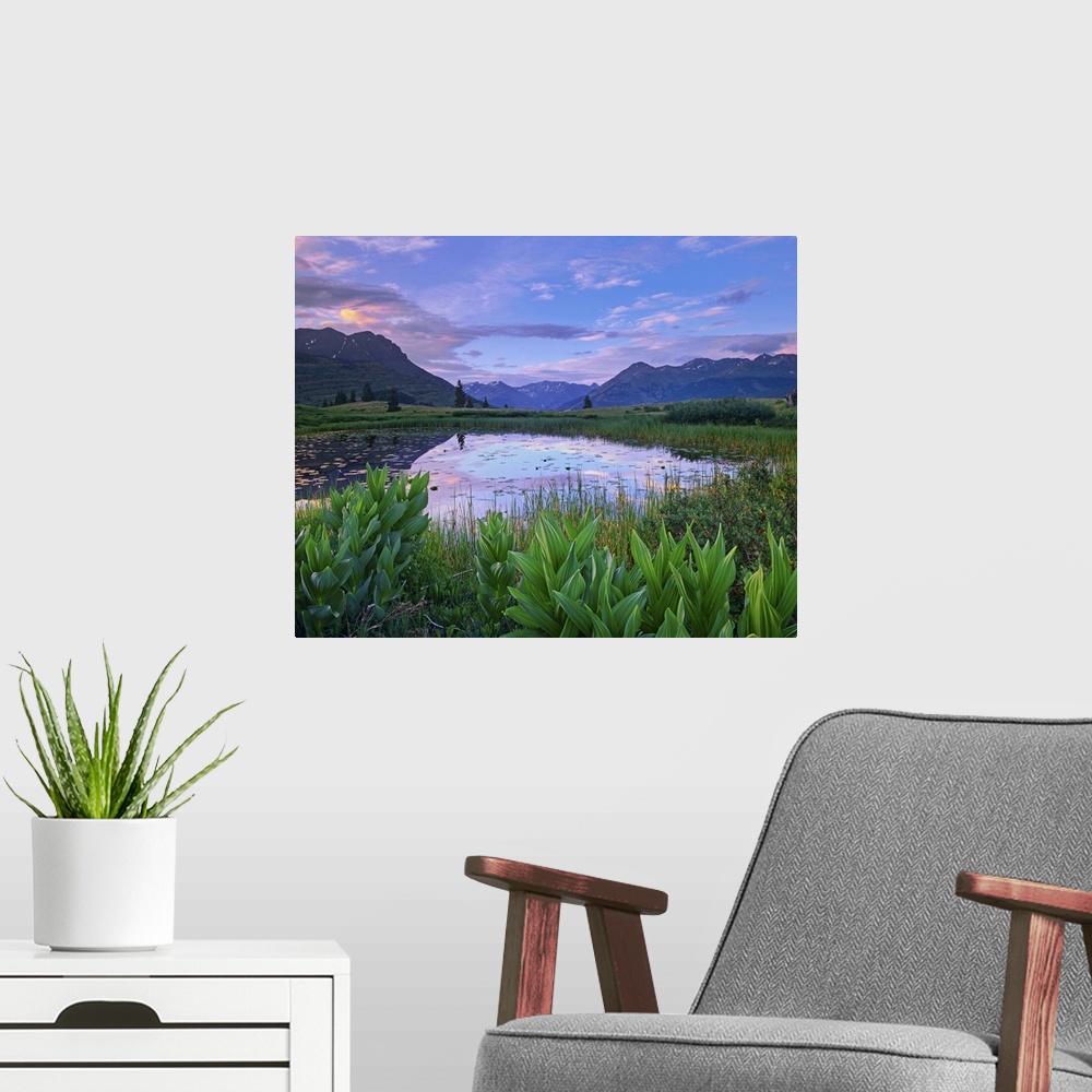 A modern room featuring Grand Turk and Kendall Mountains in background with  Indian False Hellebore