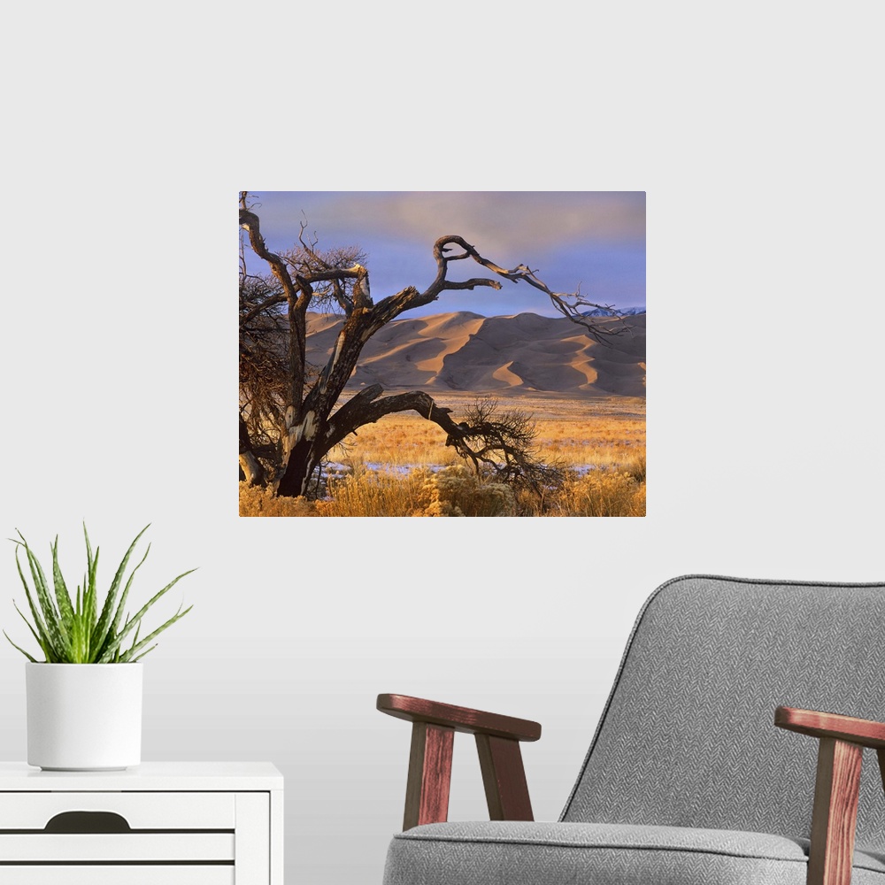 A modern room featuring Grasslands and dunes, Great Sand Dunes National Monument, Colorado