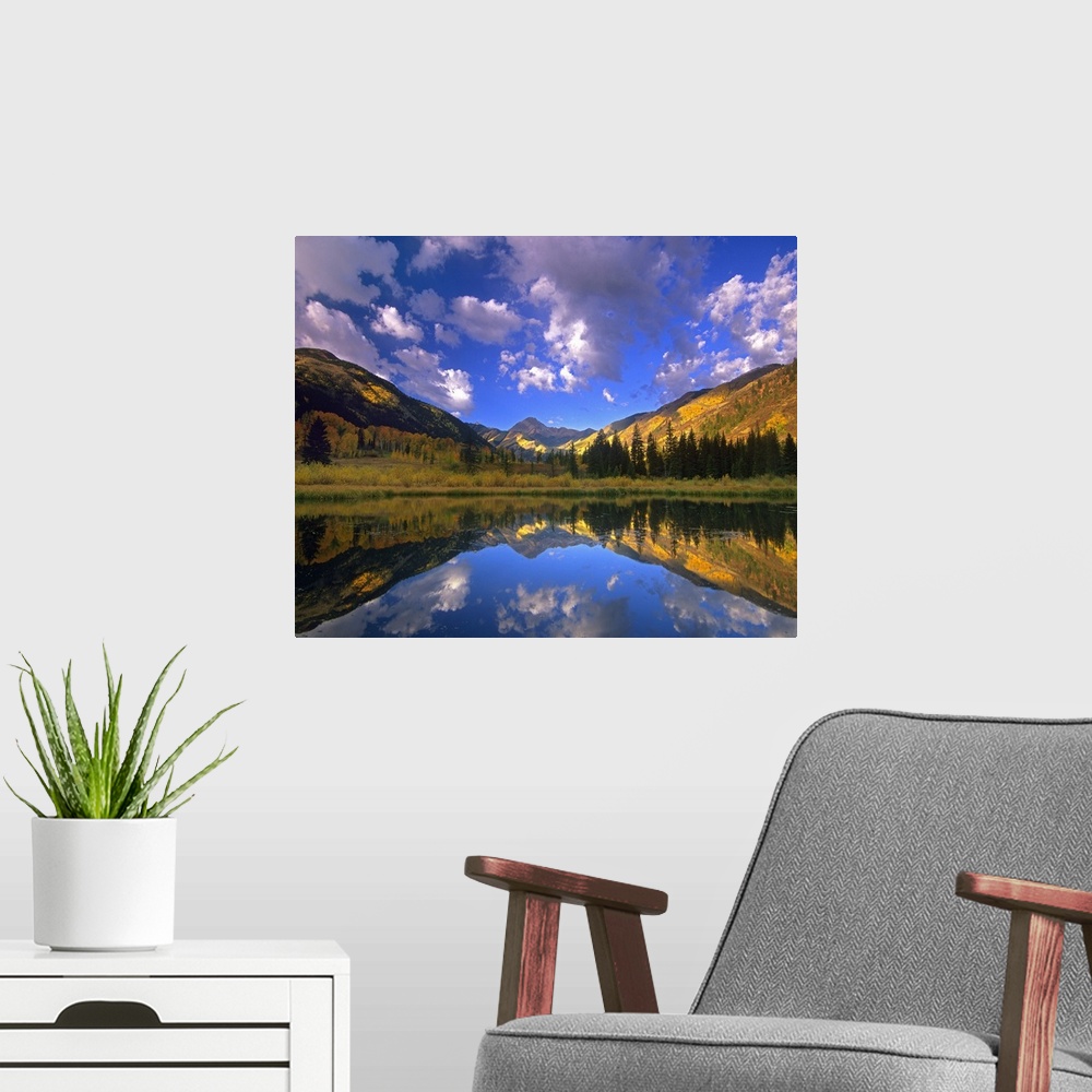 A modern room featuring Haystack Mountain reflected in beaver pond, Maroon Bells, Snowmass Wilderness, Colorado