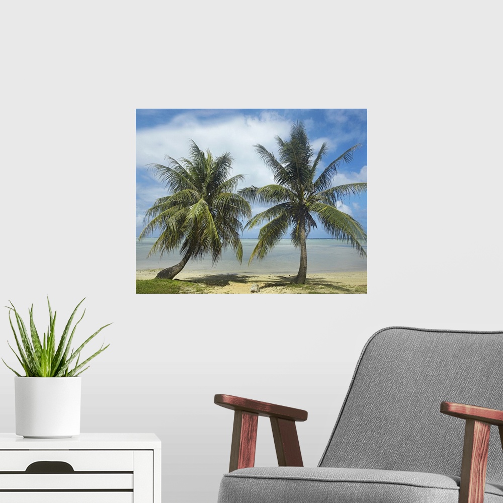 A modern room featuring Two trees growing in the sand of a tropical beach in this landscape photograph.