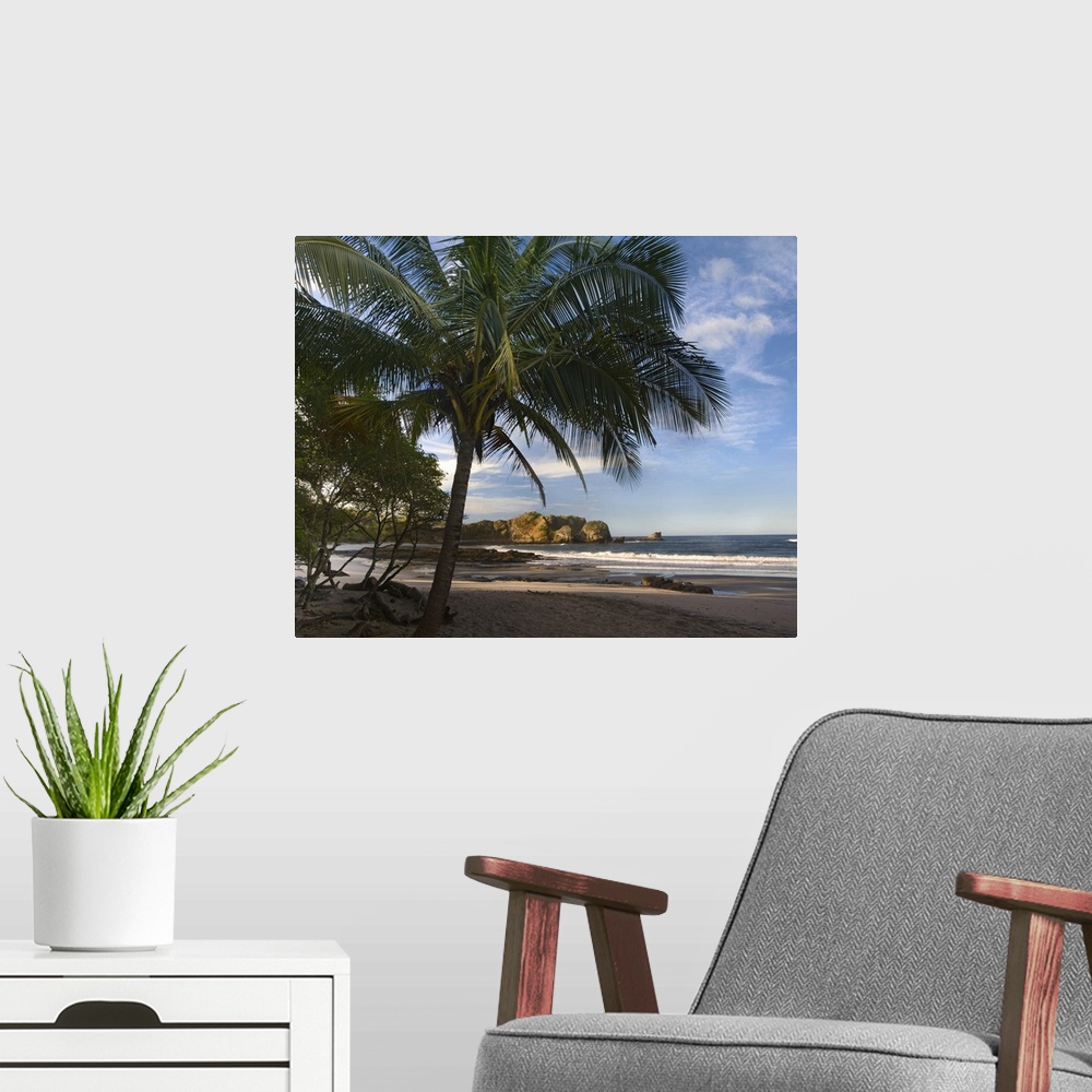 A modern room featuring Palm trees line Pelada Beach, Costa Rica