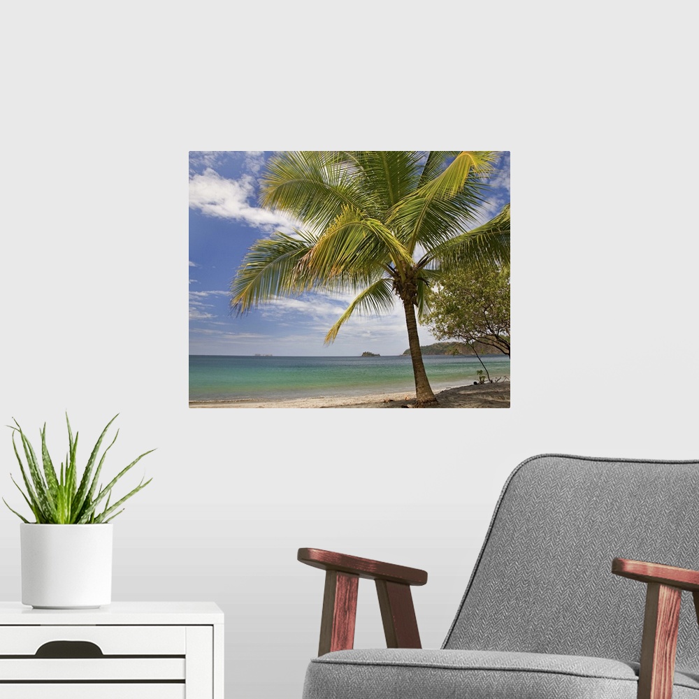 A modern room featuring Palm trees line Penca Beach, Costa Rica