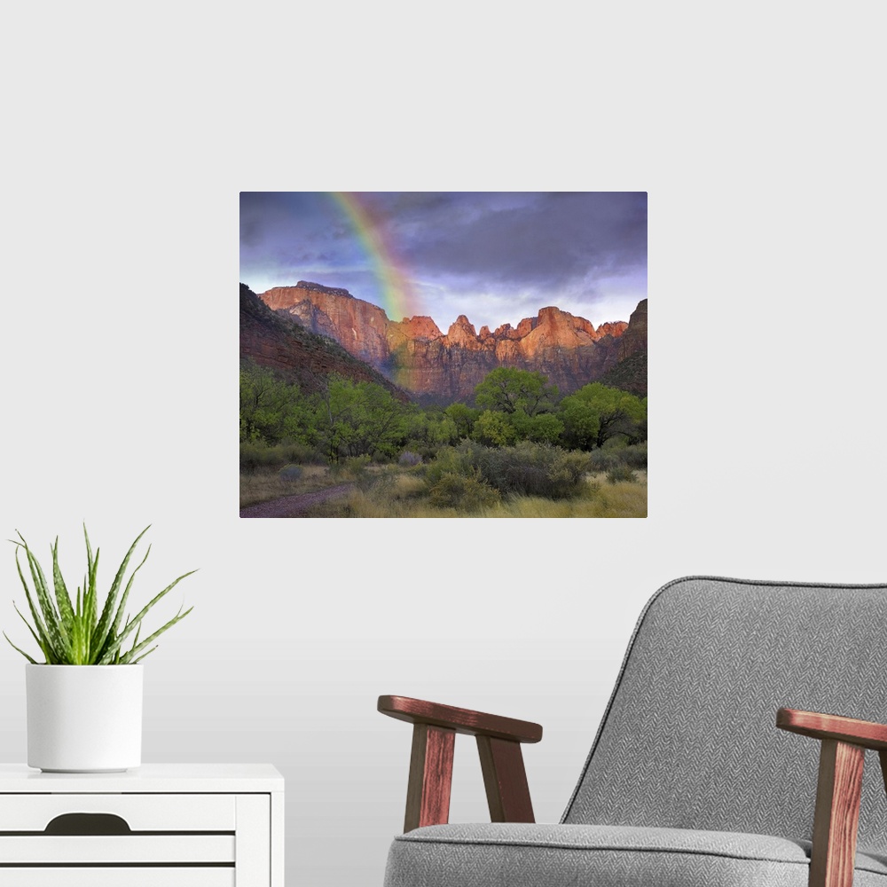 A modern room featuring Rainbow at Towers of the Virgin, Zion National Park, Utah