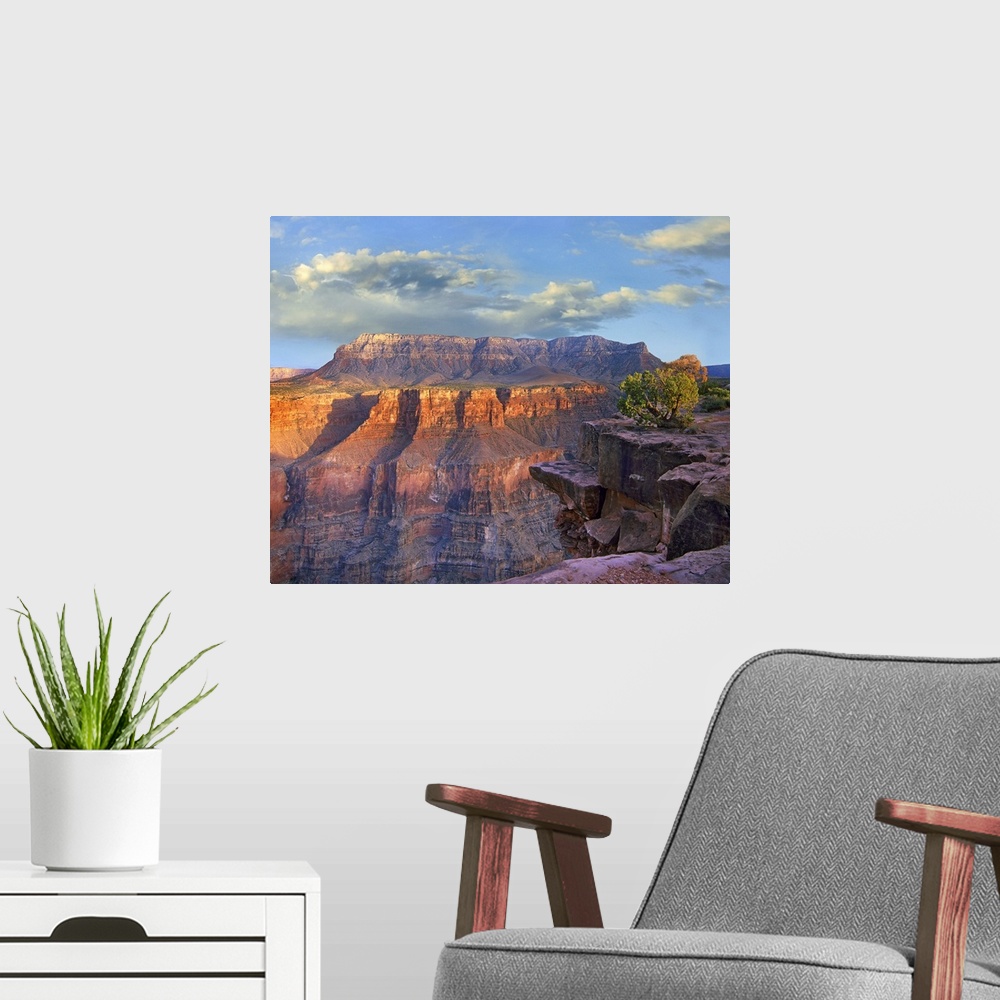 A modern room featuring Sandstone cliffs and canyon seen from Toroweap Overlook, Grand Canyon National Park, Arizona