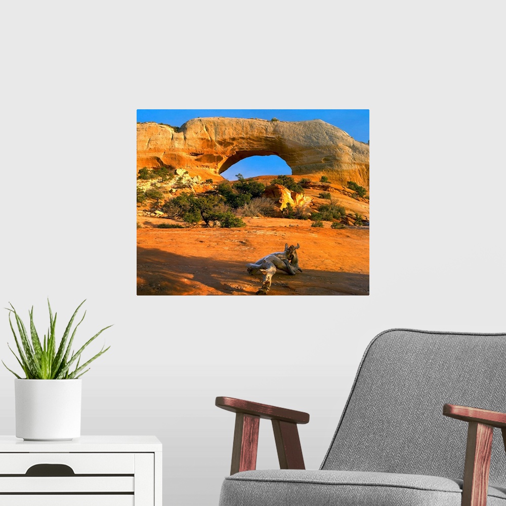 A modern room featuring Wilson Arch, off of highway 191, made of entrada sandstone, Utah