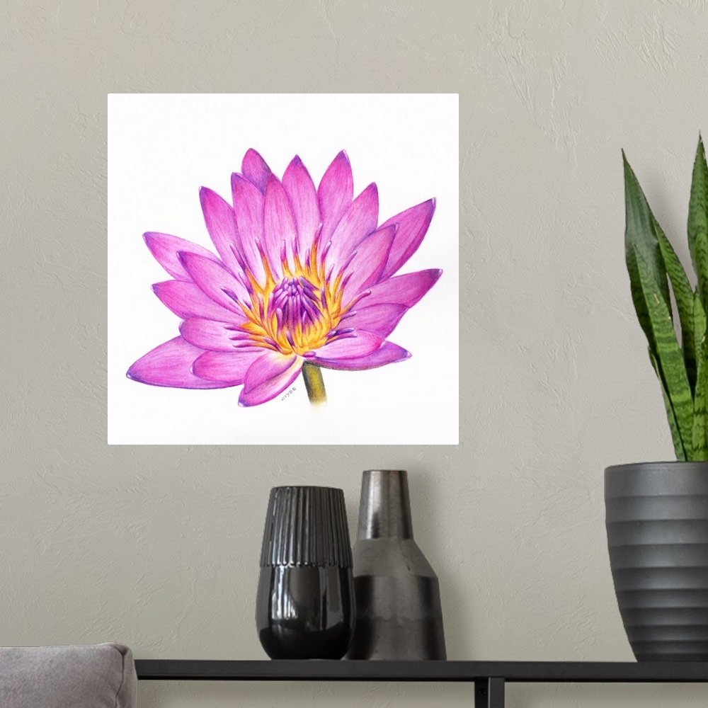 A modern room featuring Square painting of a vibrant colored lotus flower on a white background.