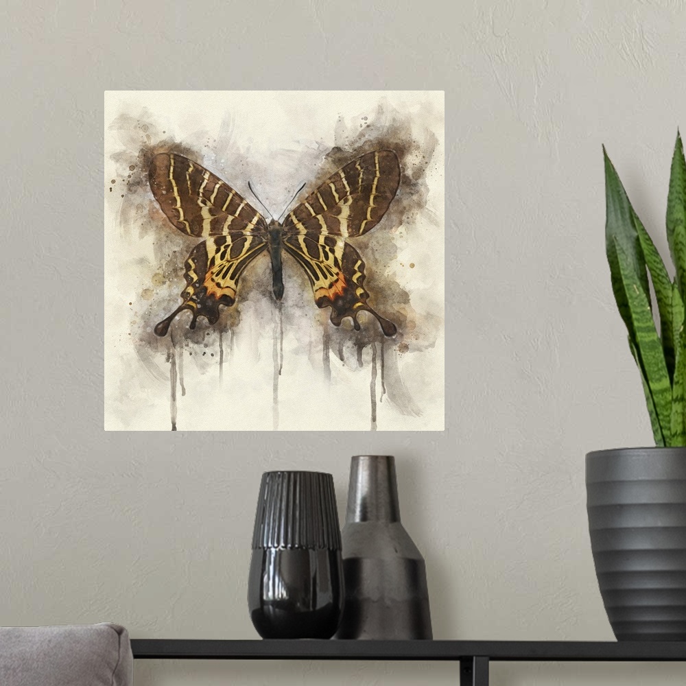 A modern room featuring A brown butterfly with yellow and orange markings with wings spread.