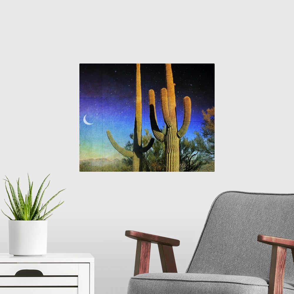 A modern room featuring Saguaro Scape
