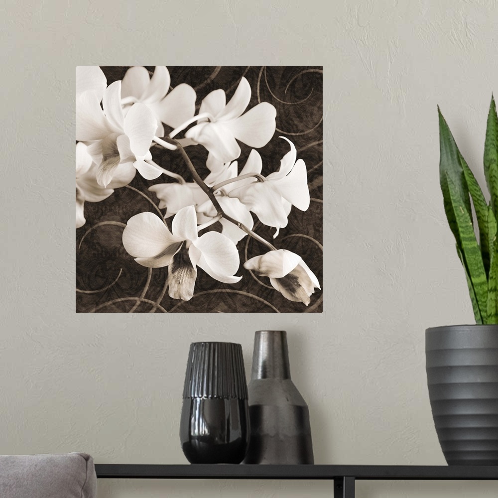A modern room featuring Sepia Orchid