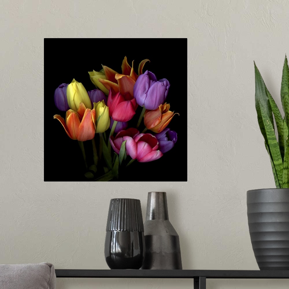 A modern room featuring Bouquet of orange, yellow, purple, red and pink tulips.