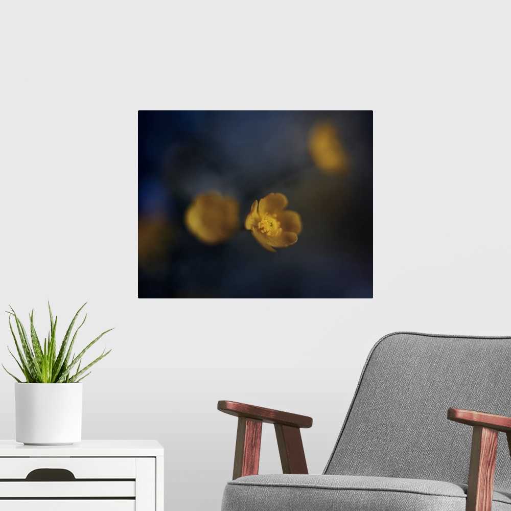 A modern room featuring Blurred image of yellow flowers with one in focus.