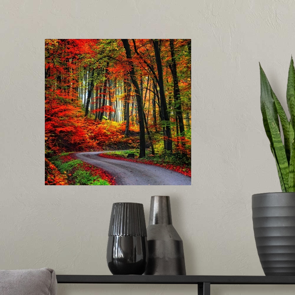 A modern room featuring Square Fine Art photograph of a winding road leading upward through a forest of vibrant fall colors.