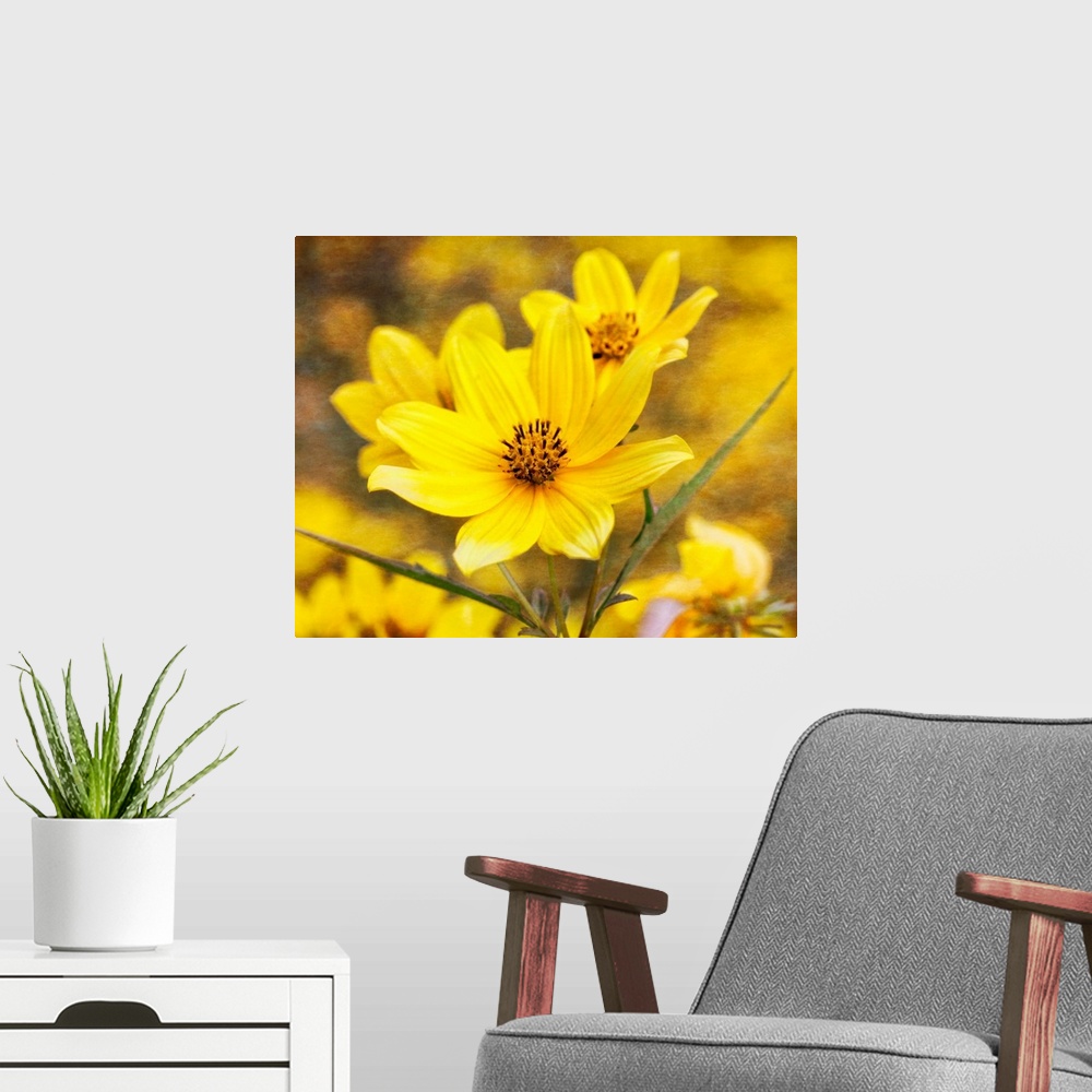 A modern room featuring Beautiful yellow flower in bloom with slender green leaves.
