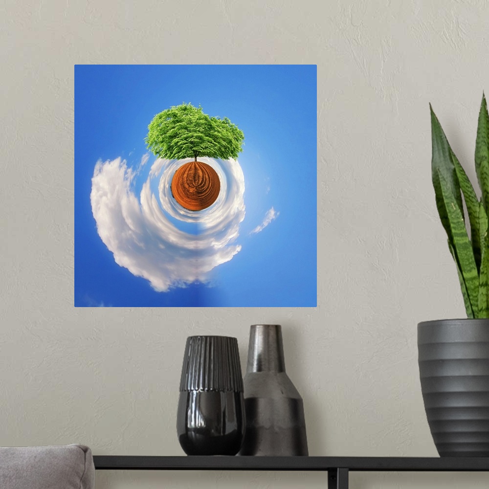 A modern room featuring A tree with dense green foliage against a cloudy sky, with a stereographic projection effect on t...