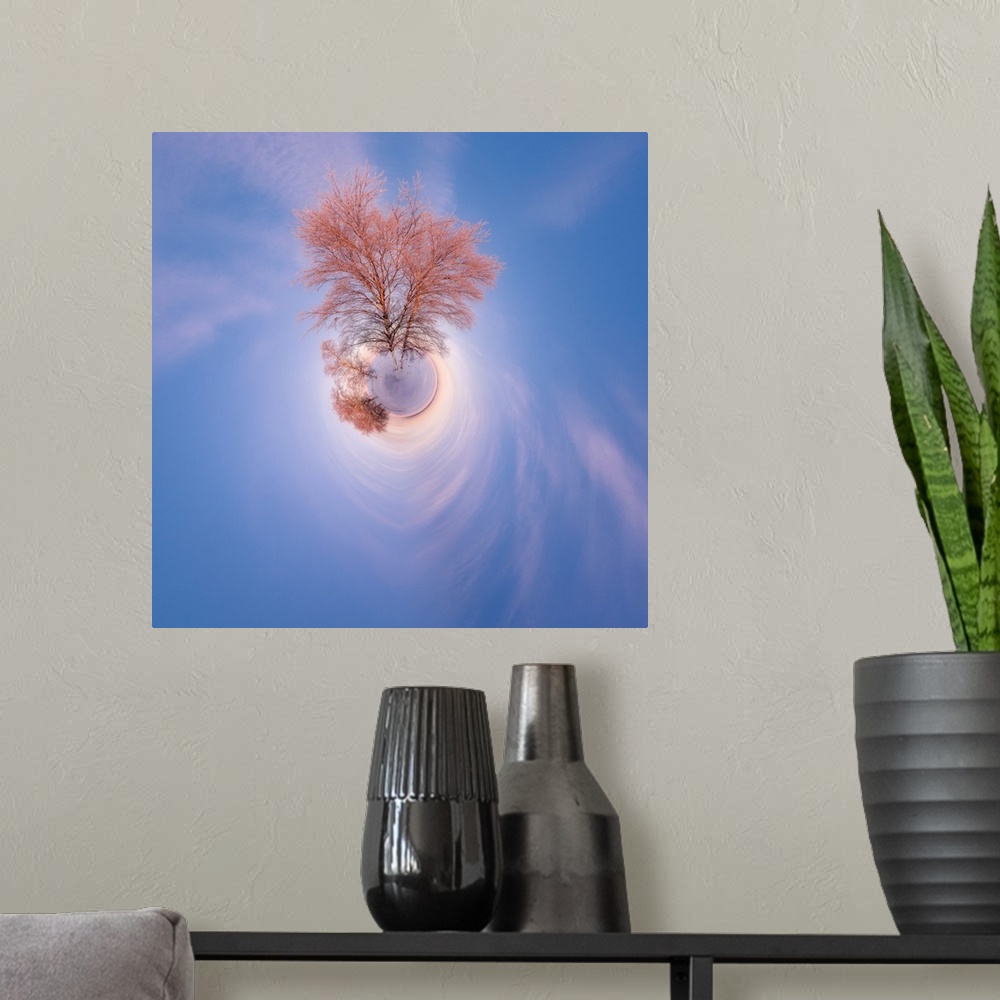 A modern room featuring A tall tree with soft pink light from the setting sun against a blue sky, with a stereographic pr...